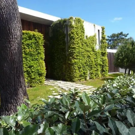 Contemporaine, Golf And Sea, De Gamme, Vue